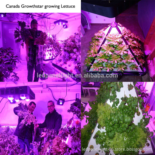 AC85V~265V Full Spectrum 810W greenhouse led grow light directly from factory with paypal pay